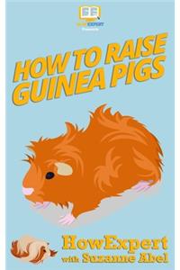 How To Raise Guinea Pigs: Your Step-By-Step-Guide to Raising Guinea Pigs