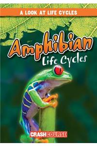Amphibian Life Cycles