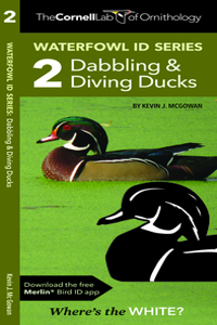 The Cornell Lab of Ornithology Waterfowl ID 2 Dabbling & Diving Ducks
