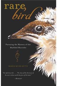 Rare Bird
