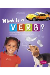 Parts of Speech What is a Verb?