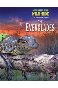 The Everglades