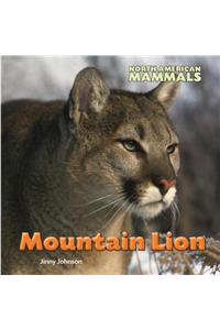 Mountain Lion