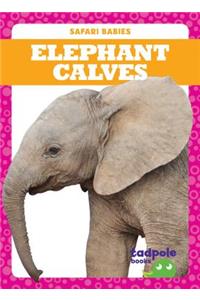 Elephant Calves