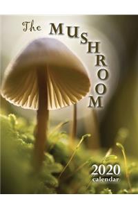 The Mushroom 2020 Calendar