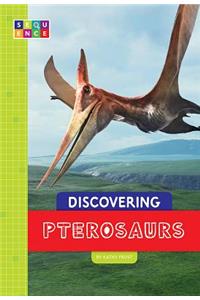 Discovering Pterosaurs