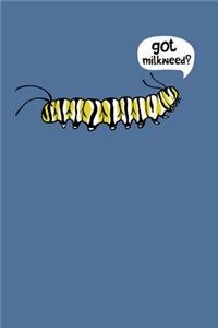 Got Milkweek?