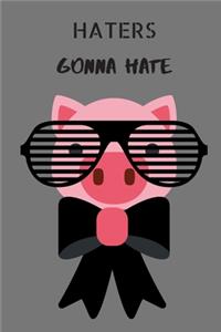 Haters Gonna Hate