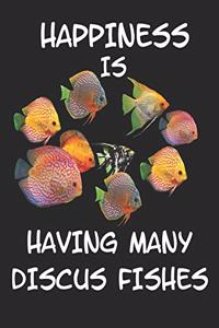Happiness is Having Many Discus Fishes