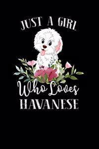 Just a Girl Who Loves Havanese