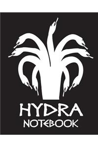 Hydra Notebook