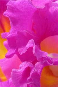 Orchid Flower Journal Notebook - Sketchbook