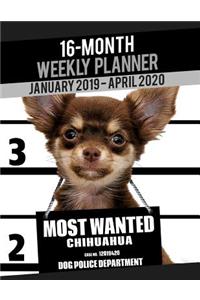2019-2020 Weekly Planner - Most Wanted Chihuahua