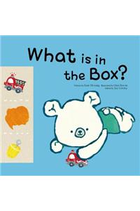 What Is in the Box?