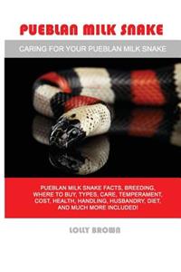 Pueblan Milk Snake