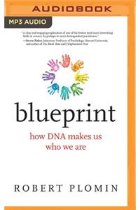 Blueprint