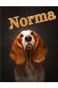 Norma
