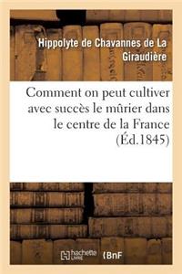 Comment on Peut Cultiver Avec Succès Le Murier Dans Le Centre de la France