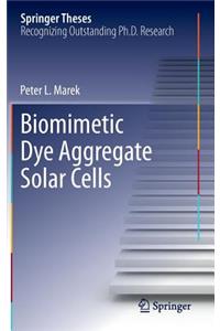 Biomimetic Dye Aggregate Solar Cells
