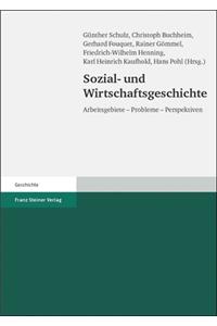 Sozial- Und Wirtschaftsgeschichte: Arbeitsgebiete - Probleme - Perspektiven. 100 Jahre Vierteljahrschrift Fur Sozial- Und Wirtschaftsgeschichte