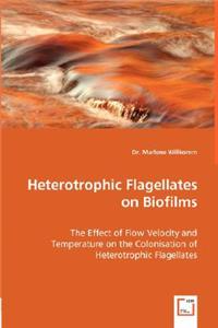 Heterotrophic Flagellates on Biofilms - The Effect of Flow Velocity and Temperature on the Colonisation of Heterotrophic Flagellates