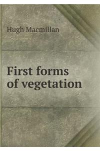 First Forms of Vegetation