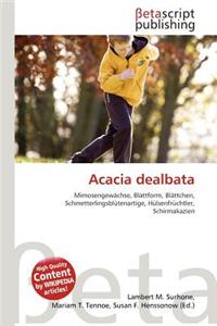 Acacia Dealbata