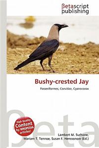 Bushy-Crested Jay