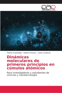 Dinámicas moleculares de primeros principios en cúmulos atómicos