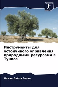 Инструменты для устойчивого управления п