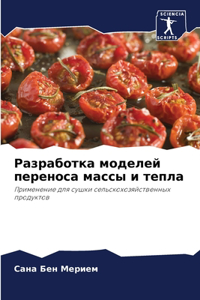 Разработка моделей переноса массы и тепла