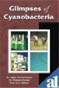 Glimpses of Cyanobateria