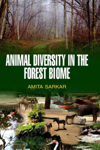 Animal Diversity in the Forest Biome