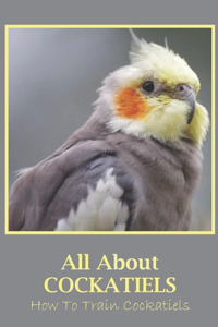 All About Cockatiels