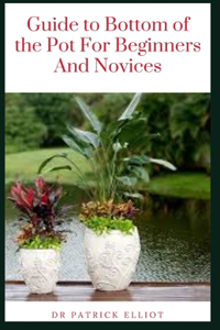 Guide to Bottom of the Pot For Beginners And Novices