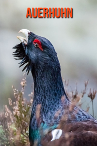 Auerhuhn