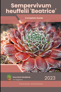 Sempervivum heuffelii 'Beatrice'