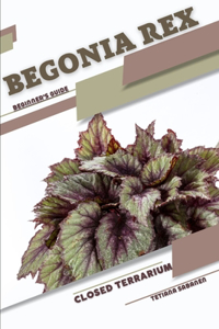 Begonia rex