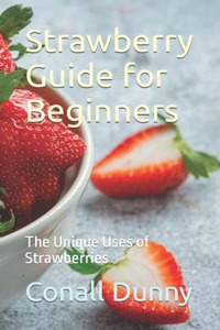 Strawberry Guide for Beginners