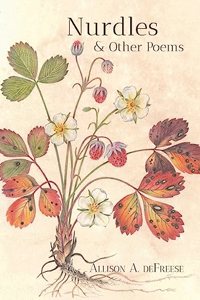 Nurdles and Other Poems