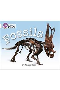 Fossils