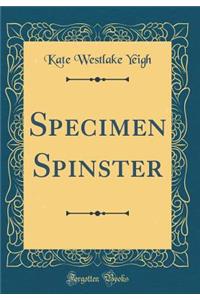 Specimen Spinster (Classic Reprint)