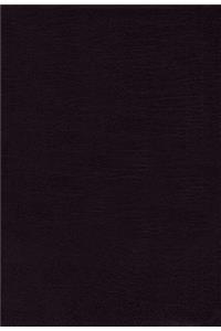 KJV, Amplified, Parallel Bible, Large Print, Bonded Leather, Black, Red Letter Edition