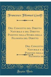 Del Concetto del Diritto Naturale e del Diritto Positivo nella Storia della Filosofia del Diritto: Prolusione al Corso di Filosofia del Diritto Letta nella Regia Università di Roma IL D`6 Dicembre 1878 (Classic Reprint)