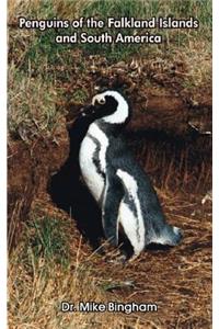Penguins of the Falkland Islands and South America