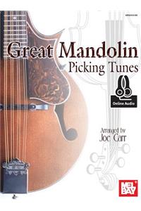 Great Mandolin Picking Tunes Book