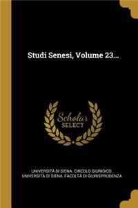 Studi Senesi, Volume 23...