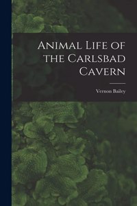 Animal Life of the Carlsbad Cavern