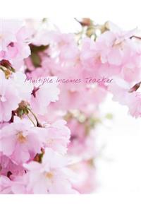 Multiple Incomes Tracker