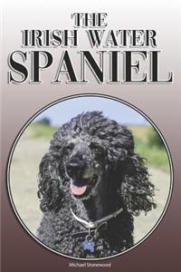 The Irish Water Spaniel